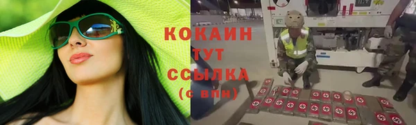 каннабис Белокуриха