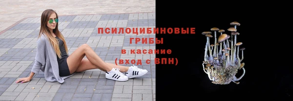 молекула духа Беломорск