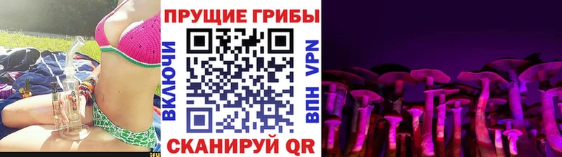 Галлюциногенные грибы MAGIC MUSHROOMS  Краснослободск 